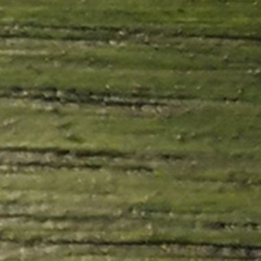 1709 Dennegroen