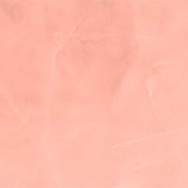 500-096 RETRO SALMON