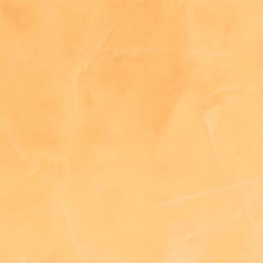 500-113 GLAMOROUS CARROT