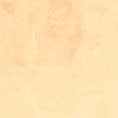 500-115 GLAMOROUS LIGHT PUMPKIN