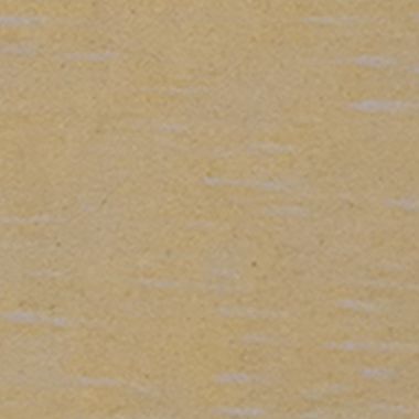 901 White Birch - 260303-01