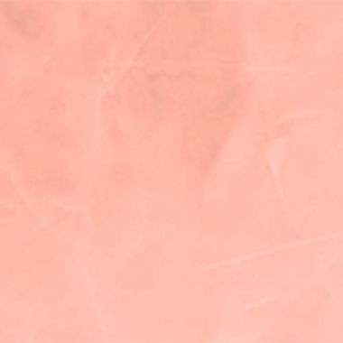 500-096 RETRO SALMON