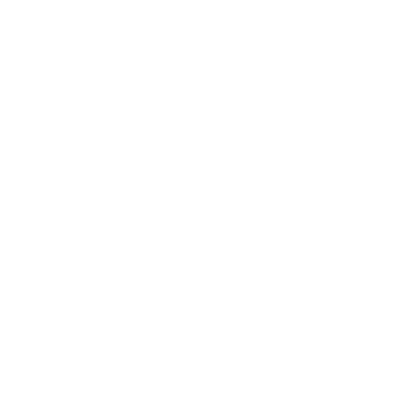 Wit - 12 Stuks
