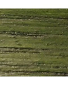 1709 Dennegroen